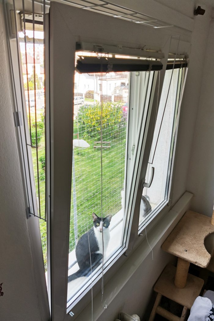 Díky bezpečnostním mřížkám na oknech můžete větrat bez obav. 
Nezapomeňte pustit kočku dovnitř...